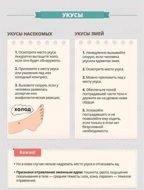 Это стоит знать всем. 09