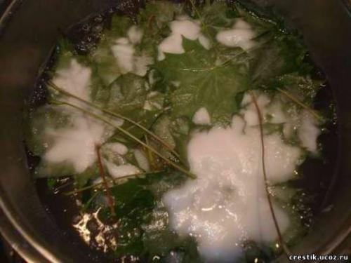 Скелетирование листьев - процесс несложный, но требующий терпения и аккуратности. 04 Скелетирование листьев - процесс несложный, но требующий терпения и аккуратности. 04