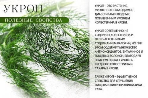 Топ - 9 самых полезных пряных трав. 04