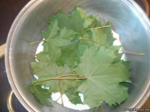 Скелетирование листьев - процесс несложный, но требующий терпения и аккуратности. 02 Скелетирование листьев - процесс несложный, но требующий терпения и аккуратности. 02