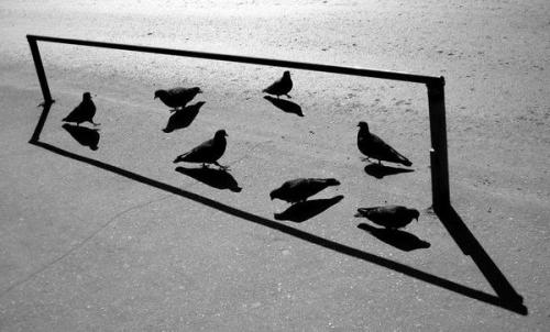 Геометрия стрит - фотографии. 01