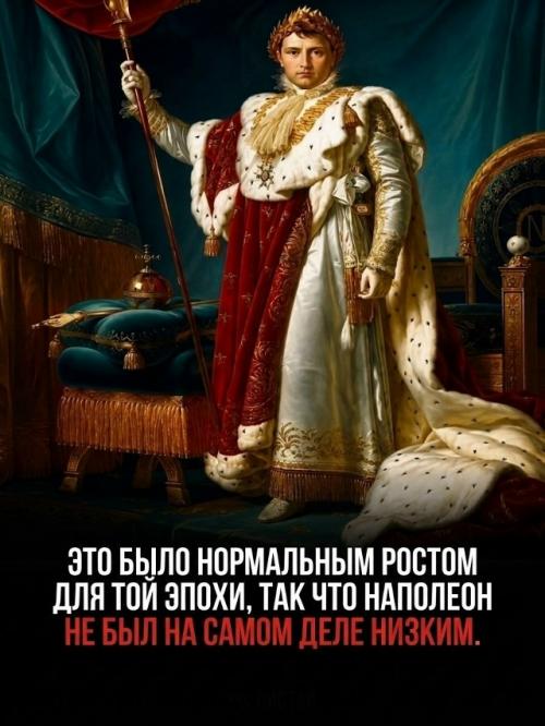Английские газеты веками миру фальшивый образ низкорослого Наполеона навязывали. 08