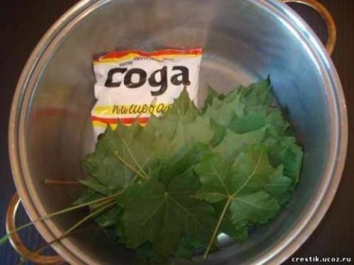 Скелетирование листьев - процесс несложный, но требующий терпения и аккуратности. 01 Скелетирование листьев - процесс несложный, но требующий терпения и аккуратности. 01