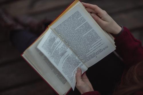 Анна и ее верная подруга золотинка. 04