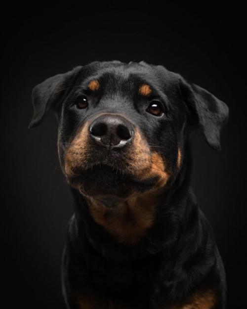 Хороший пример съемки черного на черном. 02