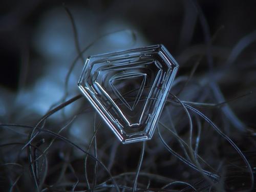 Потрясающие макрофотографии снежинок. 07