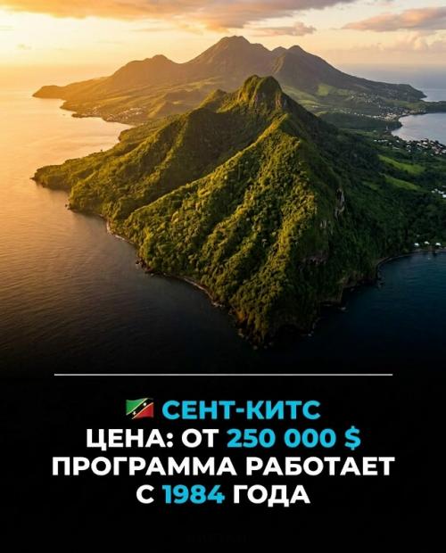 Второй паспорт можно получить за деньги, и это официальная практика некоторых стран. 05