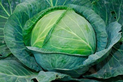 Самые полезные овощи? 02 Самые полезные овощи? 02