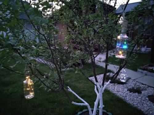 Оригинальные идеи для дачной подсветки. 04