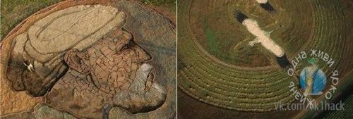 Самые большие картины в мире от художника Стэна херда. 02