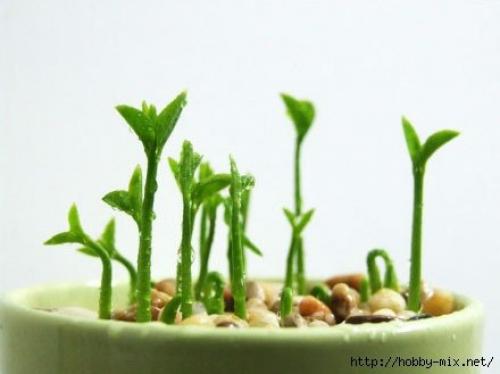 Мы выращиваем грейпфрут или лимон дома. 07