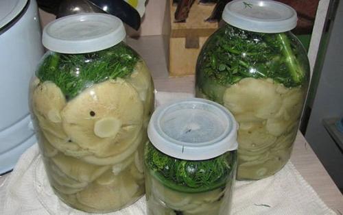 Как солить грузди. 05