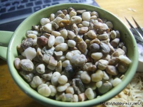 Мы выращиваем грейпфрут или лимон дома. 04