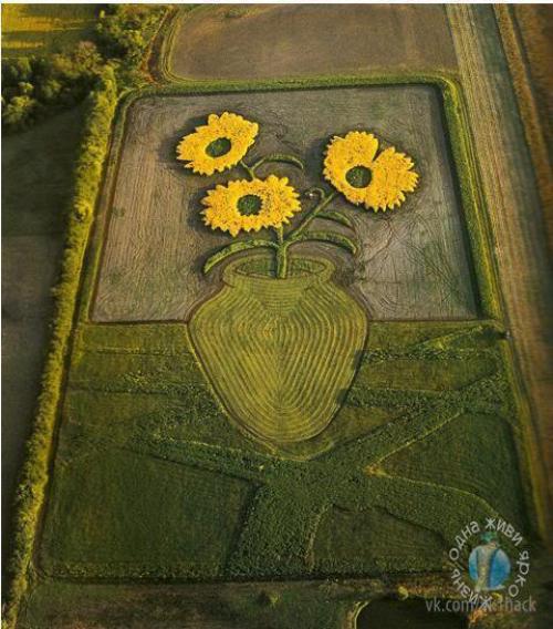 Самые большие картины в мире от художника Стэна херда. 01