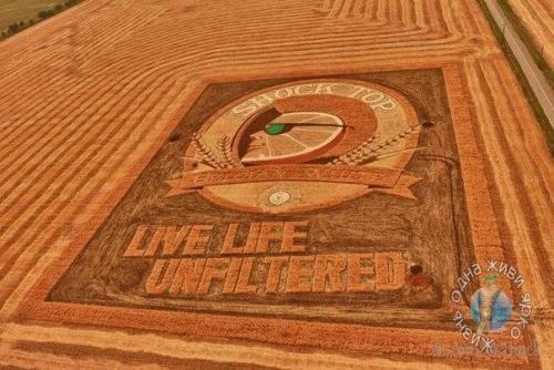 Самые большие картины в мире от художника Стэна херда. 04