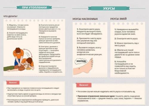 Гид по оказанию первой помощи? 06