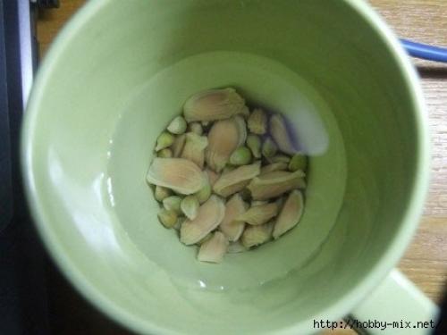 Мы выращиваем грейпфрут или лимон дома. 02