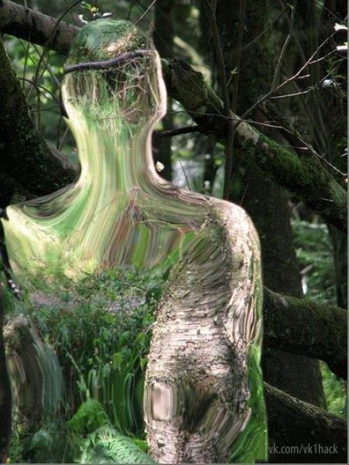 Призраки роба малхоланда. 05 Призраки роба малхоланда. 05