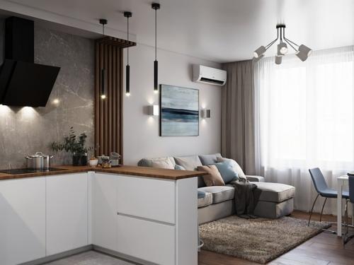 Как вам такая кухня, совмещенная с гостиной? 04