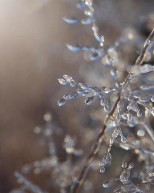 Сокровища зимы в работах фотографа Photographykaisa. 05