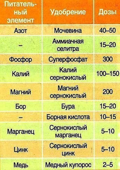 Таблицы подкормок овощей. 01 Таблицы подкормок овощей. 01
