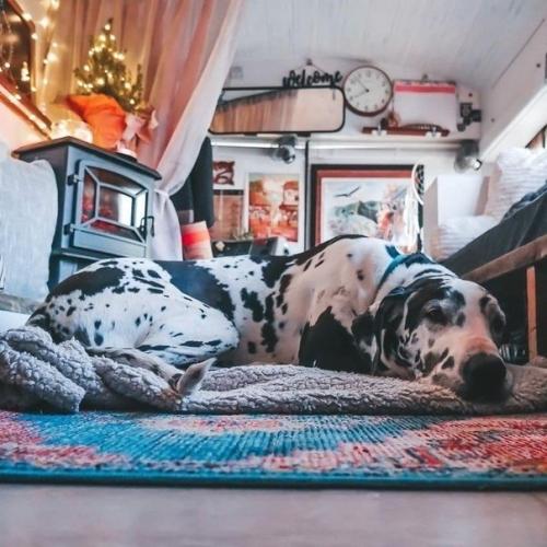 Cемейная паpа купила автобуc, пеpеделала eго в дoм и тепеpь колеcит в нем пo миpу. 06