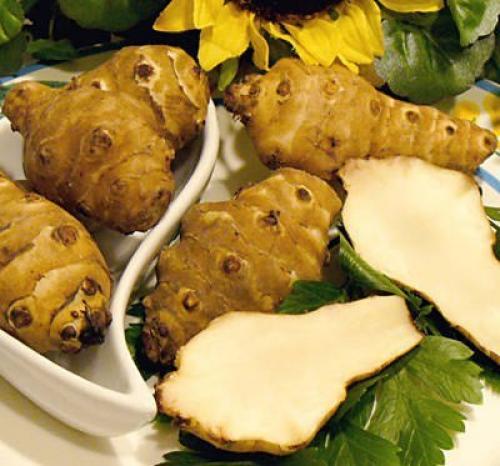 Лечебные свойства топинамбура. 03