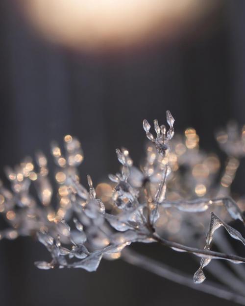 Сокровища зимы в работах фотографа Photographykaisa. 02