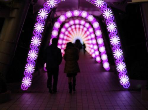 Как сделать отличные рождественские фотографии с боке. 07 Как сделать отличные рождественские фотографии с боке. 07