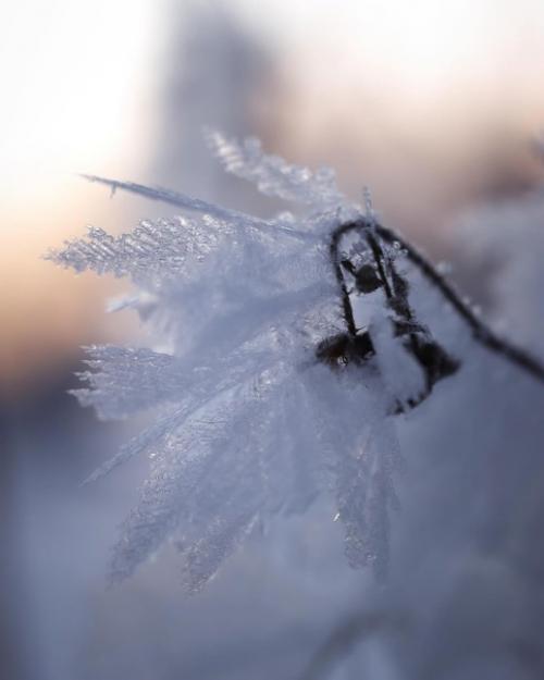 Сокровища зимы в работах фотографа Photographykaisa. 01