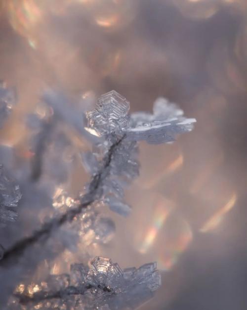 Сокровища зимы в работах фотографа Photographykaisa. 06