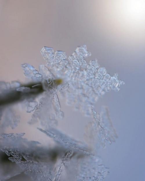 Сокровища зимы в работах фотографа Photographykaisa. 08