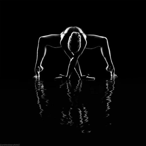 Техника фотографии в низком ключе (или темной тональности) часто применяется для художественной выразительности. 04