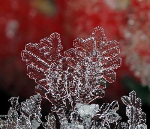 Макросъемка Снежинки. Фотографа андрея Осокина. 03