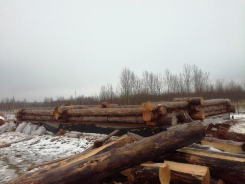 В прошлом году в декабре поставили сруб общей площадью в 140 кв. 01