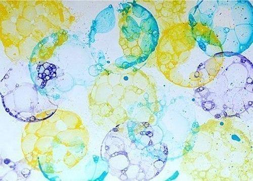 Рисунок мыльными пузырями. 04