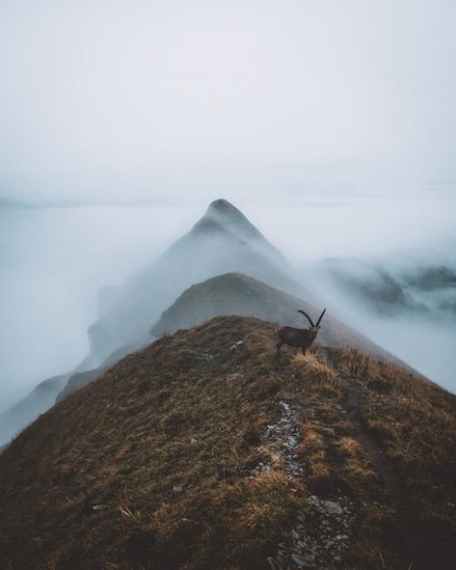 Драматичная атмосферная обработка пейзажа в Lightroom в модных коричневых Moody тонах в стиле популярного немецкого фотографа. 01