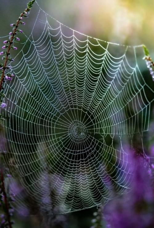 Красота в деталях. 03