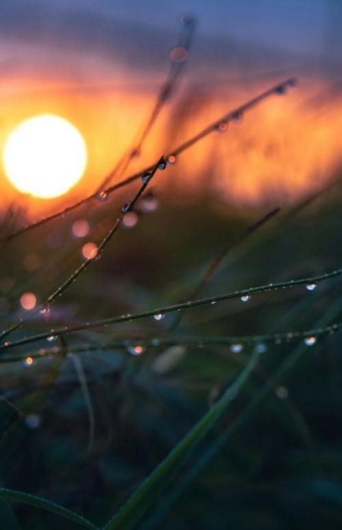 Красота в деталях. 02