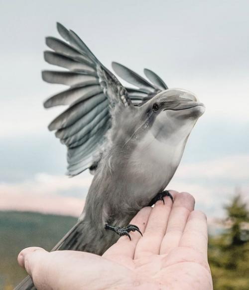 Безумные метаморфозы или где-то в параллельной вселенной. 06