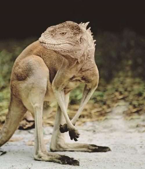 Безумные метаморфозы или где-то в параллельной вселенной. 07