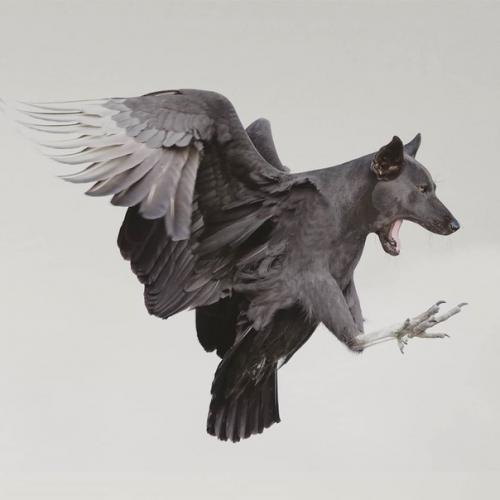 Безумные метаморфозы или где-то в параллельной вселенной. 02