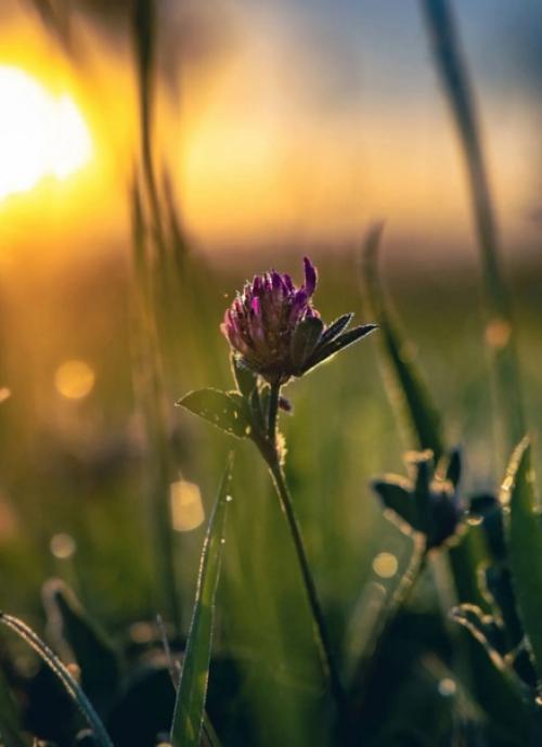 Красота в деталях. 04