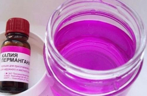 Почему лук стрелкуется: причины и как избежать. 03