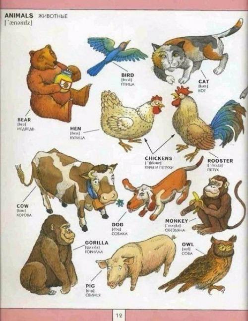 Я думаю вам пригодится! 09