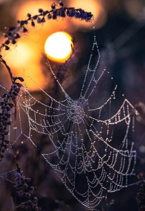 Красота в деталях. 01