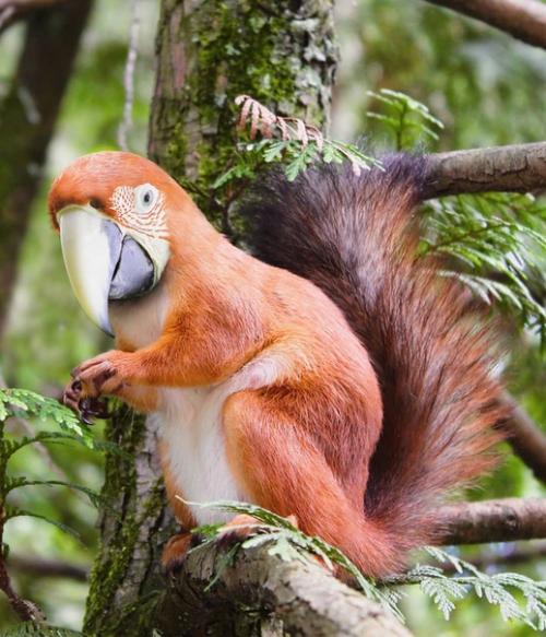 Безумные метаморфозы или где-то в параллельной вселенной. 08