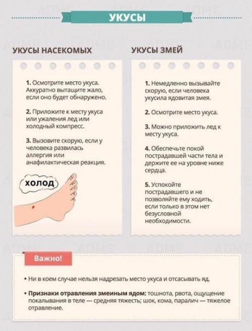 Правила оказания первой помощи. 03