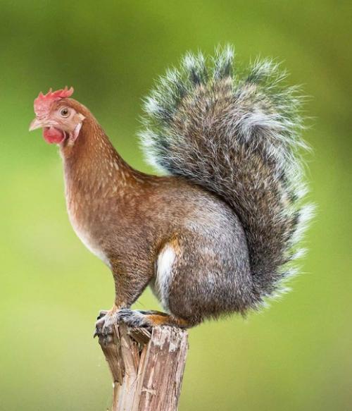 Безумные метаморфозы или где-то в параллельной вселенной. 01