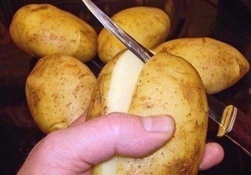 Иногда жульен можно вместе с кокотницей съесть. 06 Иногда жульен можно вместе с кокотницей съесть. 06